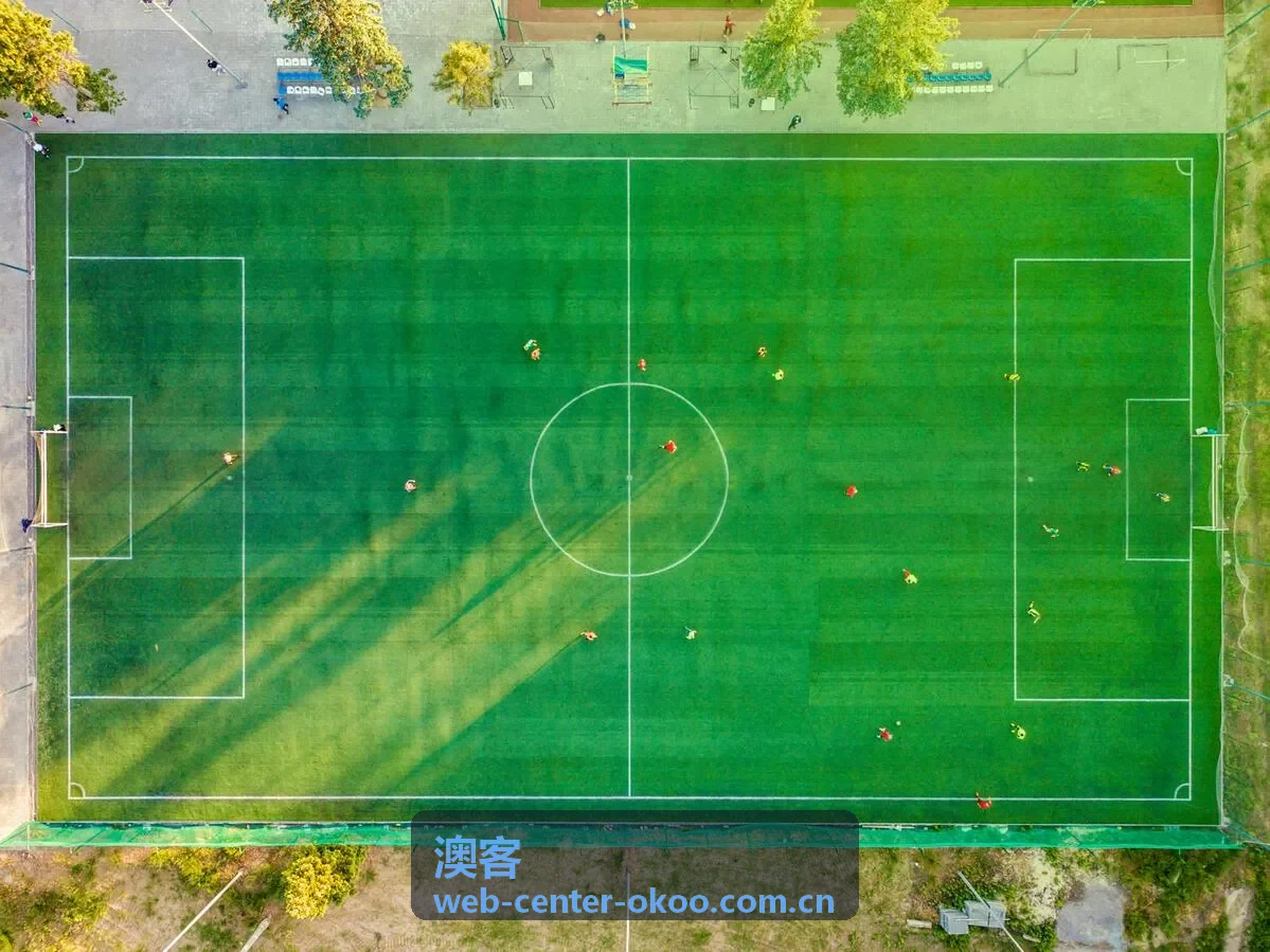 澳客资源匹配分布图表背景